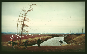 Jeff Wall, 1993: A sudden gust of wind (after Hokusai)